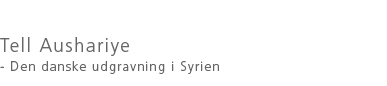 Tell Aushariye - Den danske udgravning i Syrien