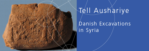 Tell Aushariye: Danish Excavations in Syria